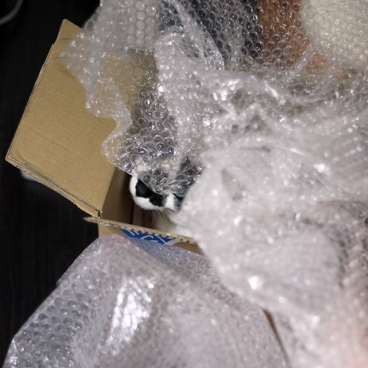 4d29cabf 71cc 46bb b5f2 8d7ec523632f