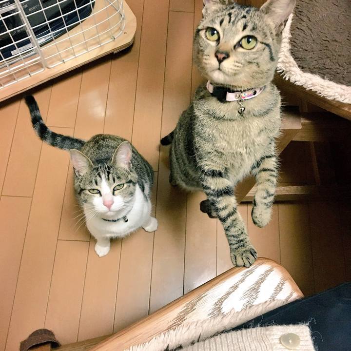 4d2afe8b 5560 457b 97ff 1036510a1834