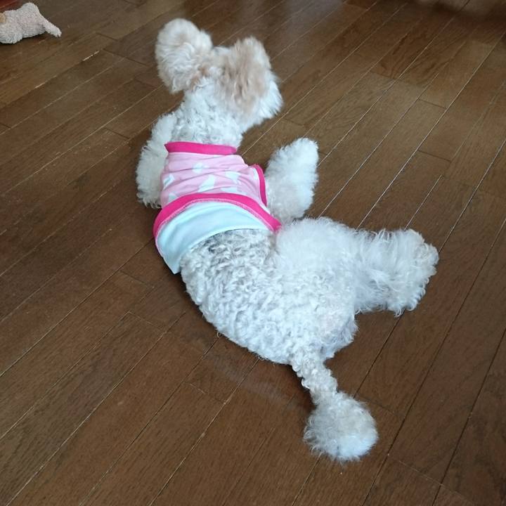 4d2b70ab ced6 4b6b bb87 e21501e504c5