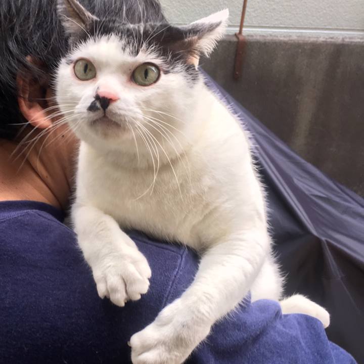 4d2cc7f3 654a 4ab3 9ee8 571e0d15211c