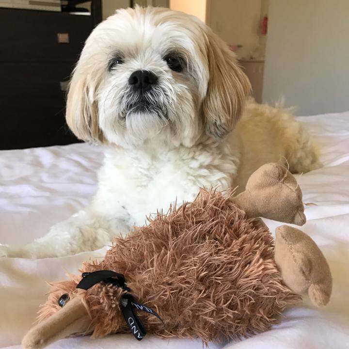 4d2e3045 3a5b 4afa 8929 c2ca8558056a