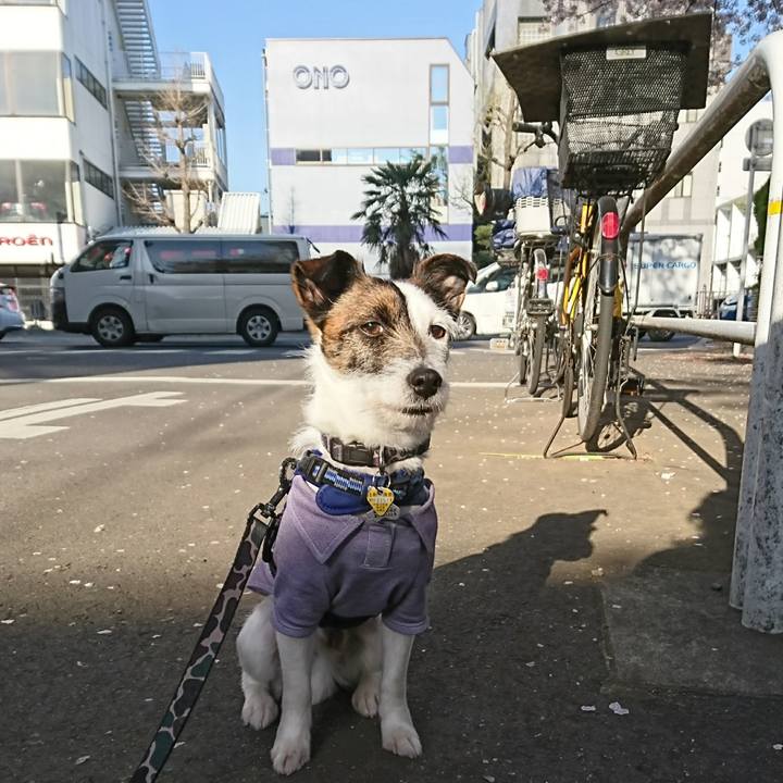 4d2e4582 eb54 41bc bdea 0232b12f2e7b