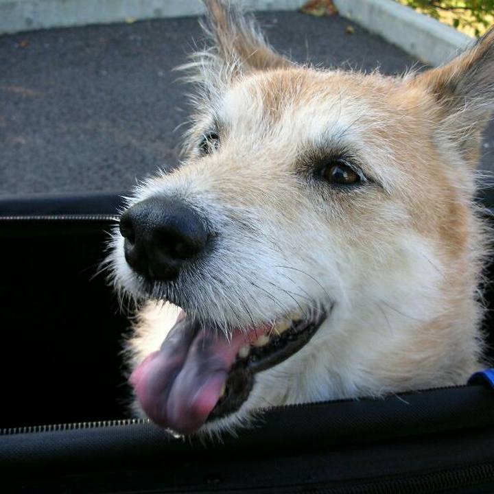 4d2e76b4 a8f9 4485 8fb0 eab81e9df9b8