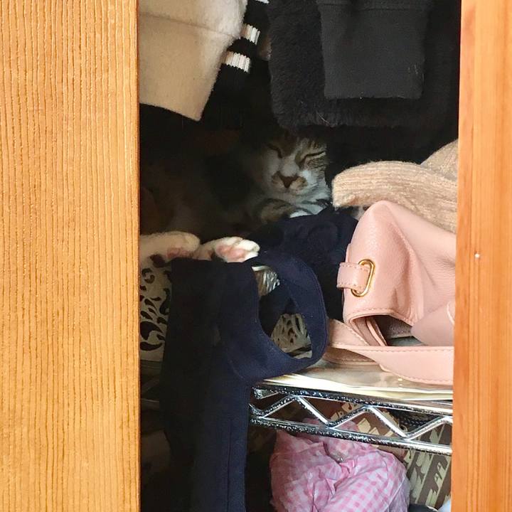 4d2eb771 d138 415a b2a3 15580042e2e1