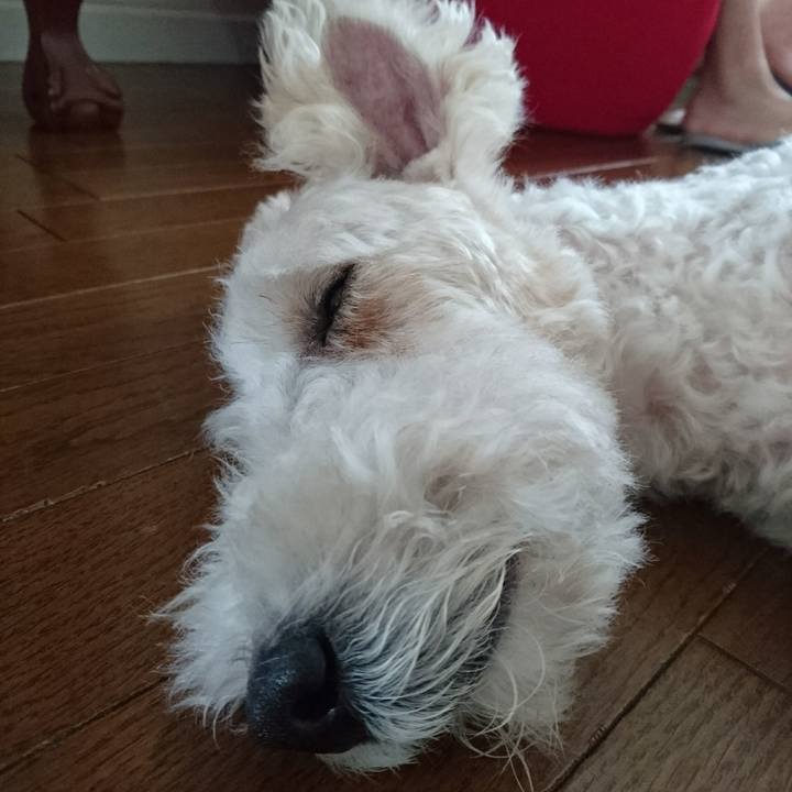 4d2ec248 5a90 43e5 98a3 921d44c29d80