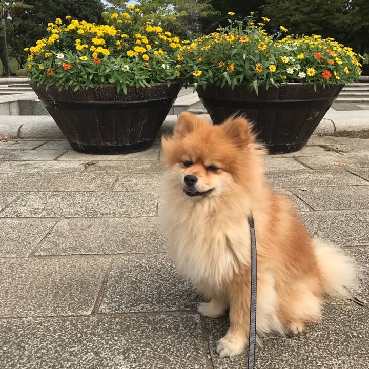 4d2f646a 3ee2 48bf ba91 2125356017c8