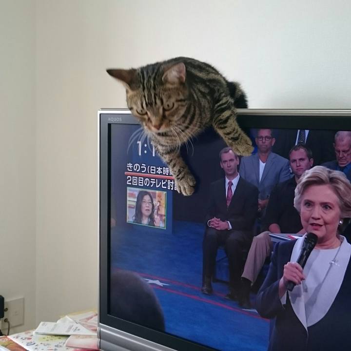 4d2f6b57 ba88 4c88 b1ea d149c4857af8