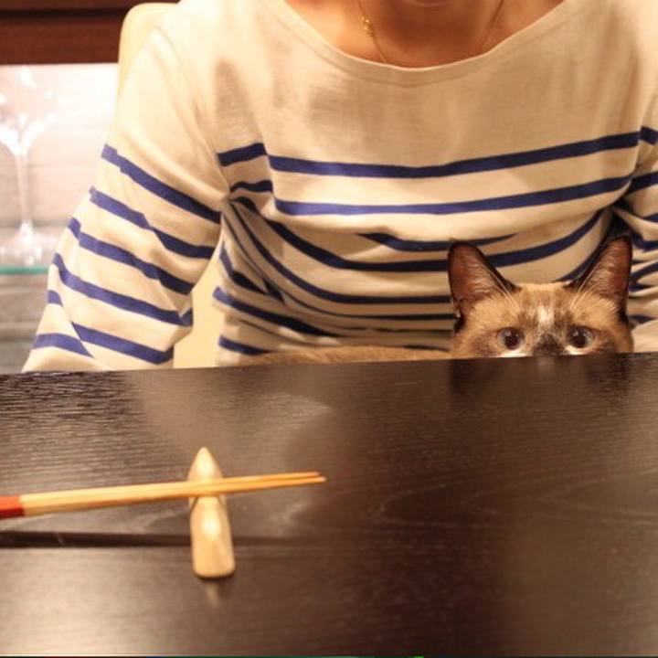 4d2f845f f3a9 4d11 a629 379bf95c6e79