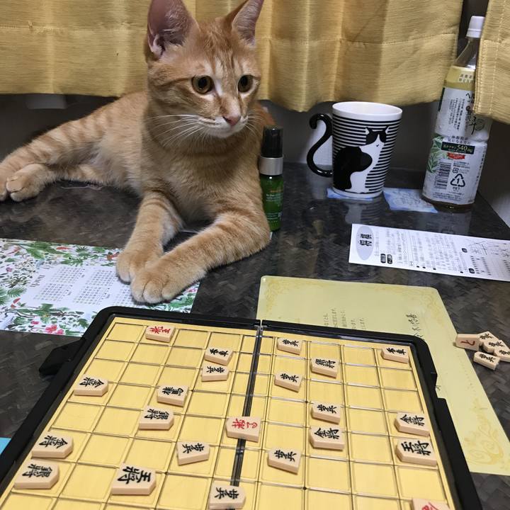 4d30147c 860c 400a b01c 187ccd264320