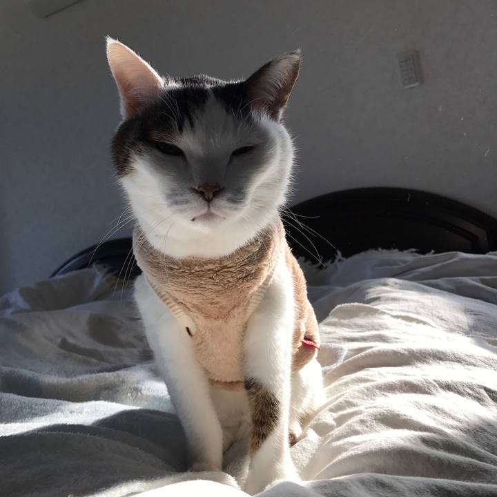 4d3024e0 e05b 4f19 95d5 2db2a9fecf4a