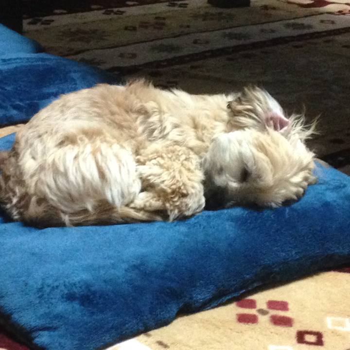 4d30b9fe 0ef2 4dea 941d 77c5c2fa40e9