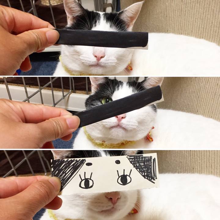 4d312f0b 1feb 41db a2b8 d4dd0ac8f600