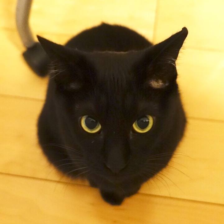 4d317123 4fee 4c26 9d0a 6b13e37f0ed1