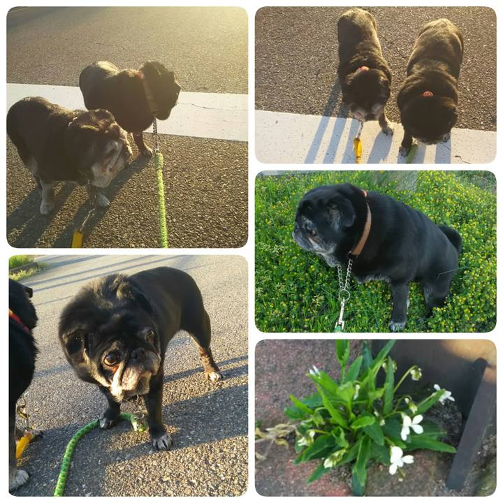 4d31c008 9491 4865 a4a9 80e54e38227b