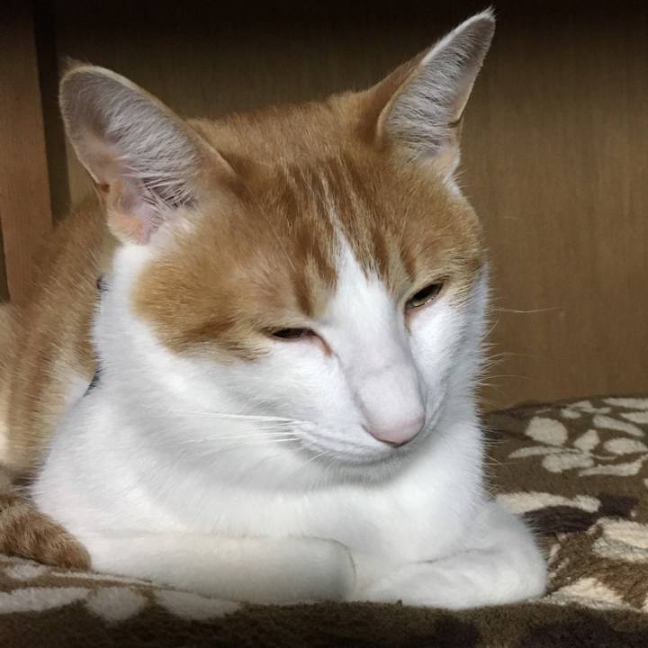 4d332697 6194 4985 b3d3 9fde54941baa