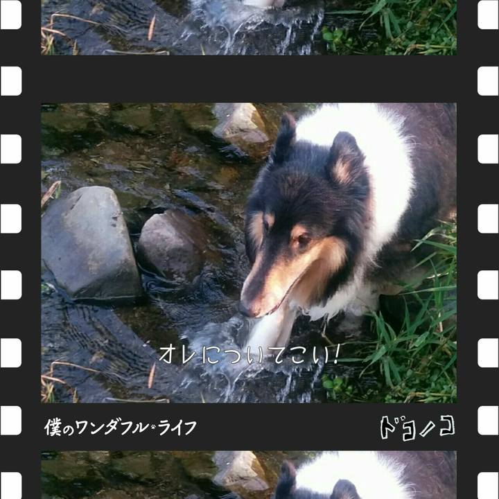 4d3442dd 0219 43af 9acc a2082402c122