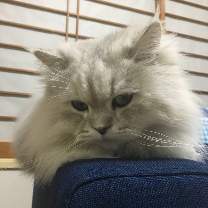 4d35f01d cdd3 4529 8d32 c88e07bfdc0d