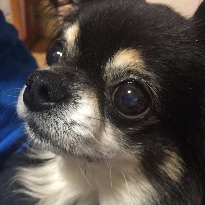 4d3642f8 5220 450a abcd b5a6d9c0d6c9