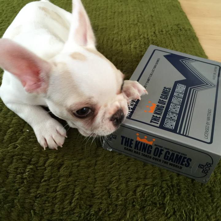 4d368f80 9f18 4e3c 99f7 55105357c175