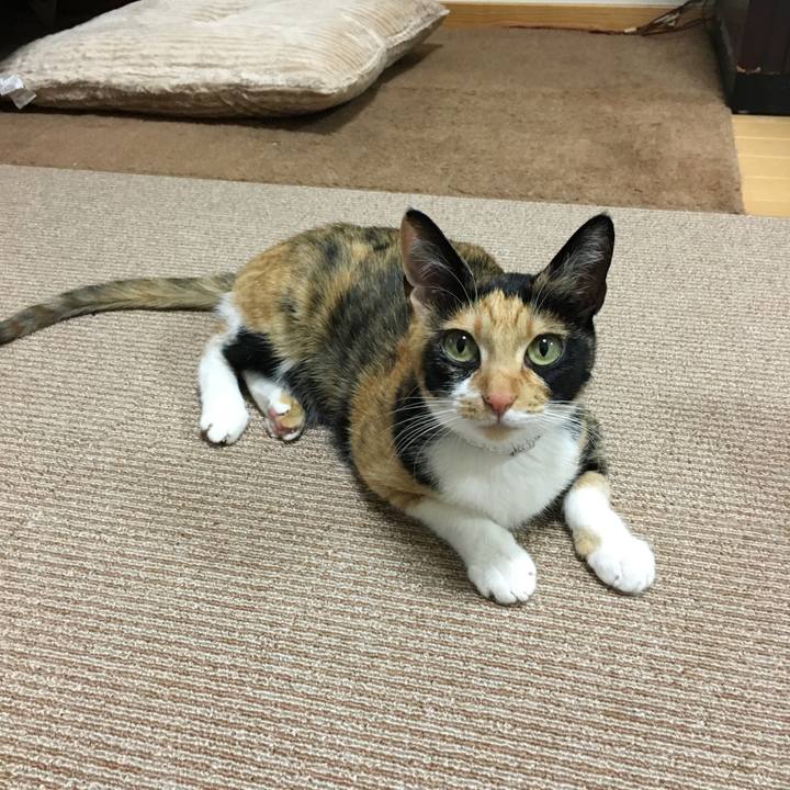 4d36c0a2 7576 48a3 8a91 2e81b1f453bb