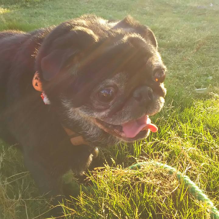 4d378a71 c673 4322 ab40 e5fc77f7ee12