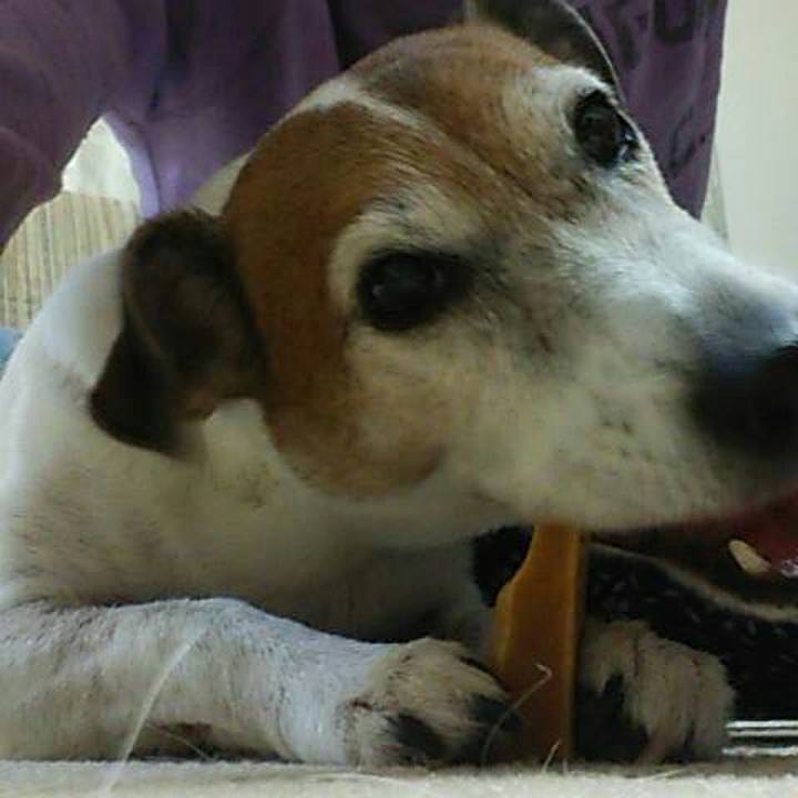 4d38ddb9 942a 447f 84a6 8966e0834203