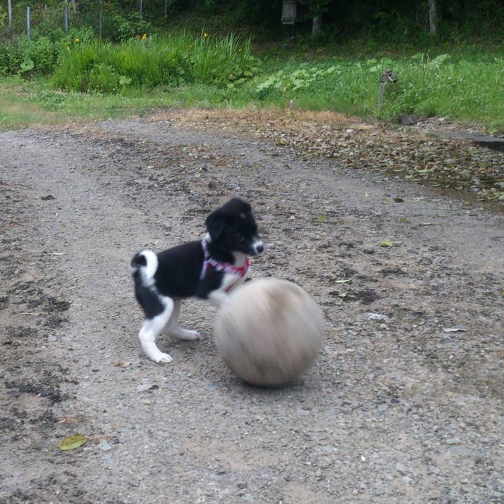 4d395f82 dcbd 44f9 9bde 8b2bb9eb8689