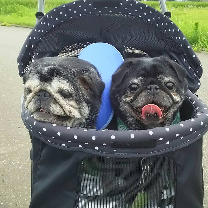 4d3a8920 4116 49cd 9045 90e10728ab9e