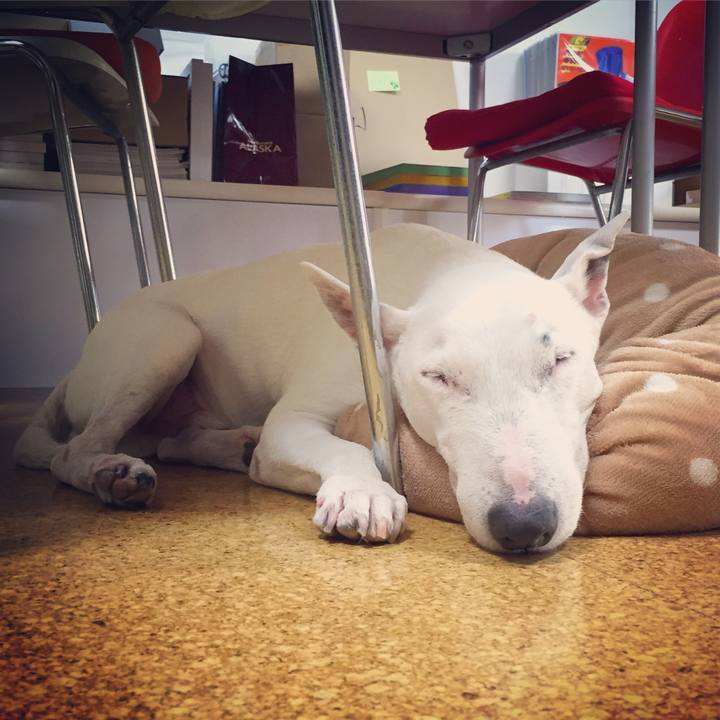 4d3b4040 44f7 4173 a774 40d5fd8d1856