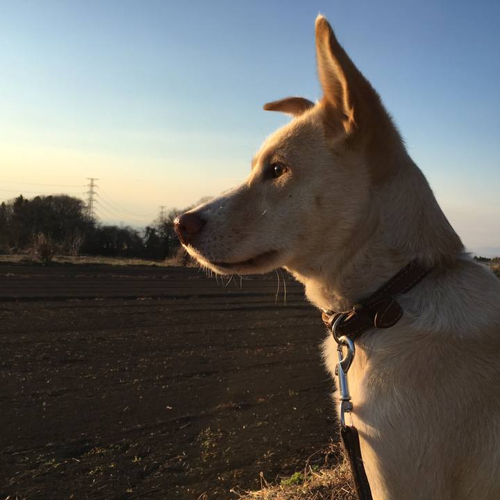 4d3b6004 16cb 48a5 8a7f 44923ea007b7