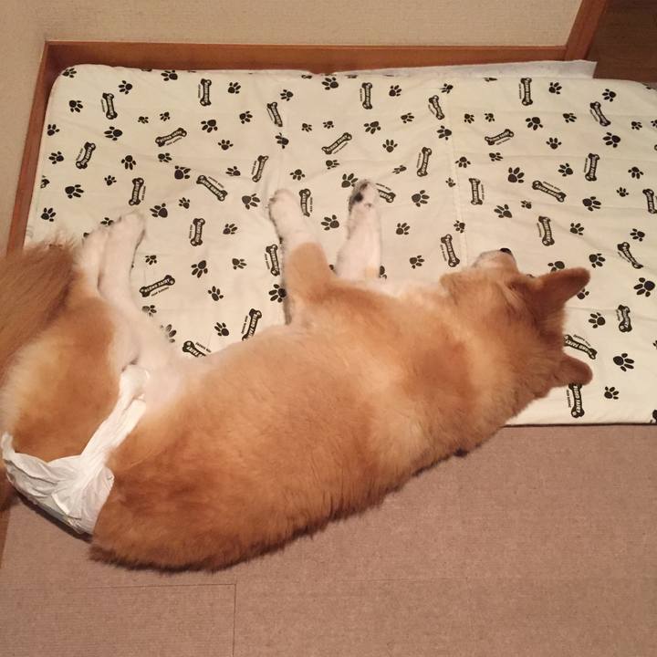 4d3c0020 7b84 4e56 8aa8 7387cacf2c26