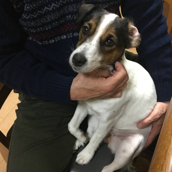 4d3c8ad0 be7b 4d4f a7ed f2498f3de242