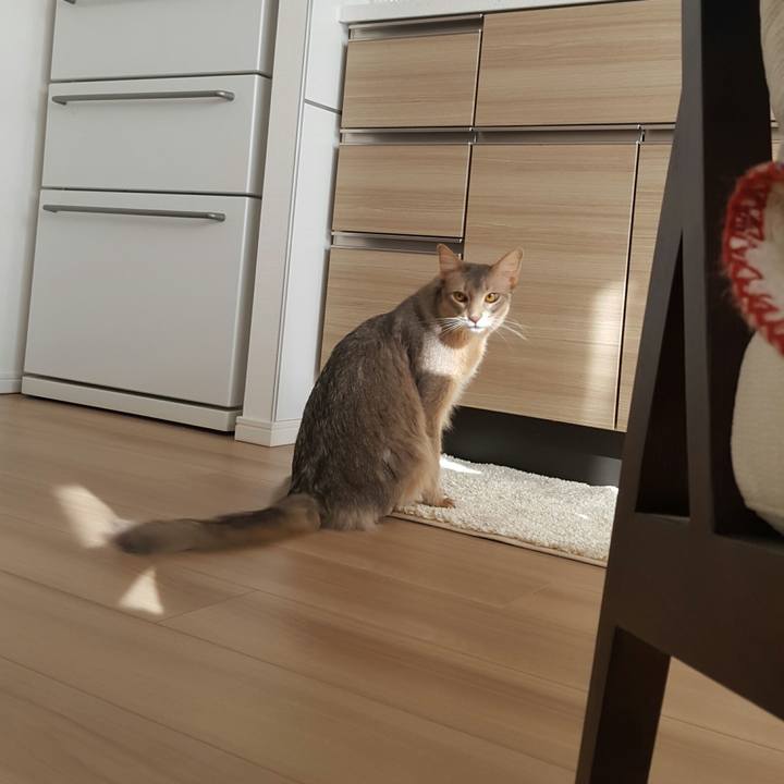 4d3cc3ba e3ac 4911 9ee3 6238995b669d