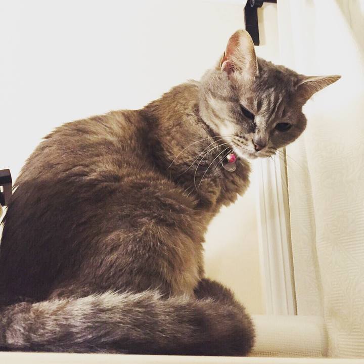 4d3cc6bb 214d 4732 98e9 351618e7102f