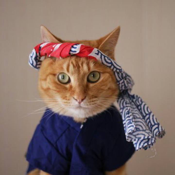 4d3dda25 cdba 47fd 8112 ff11edfe30f9