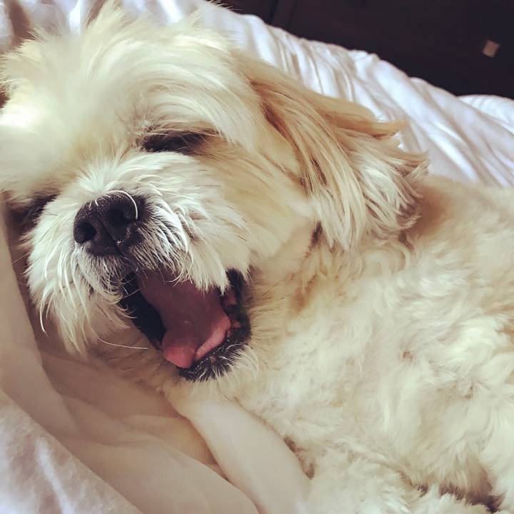 4d3e5368 4742 46c6 92c7 558eec659c50