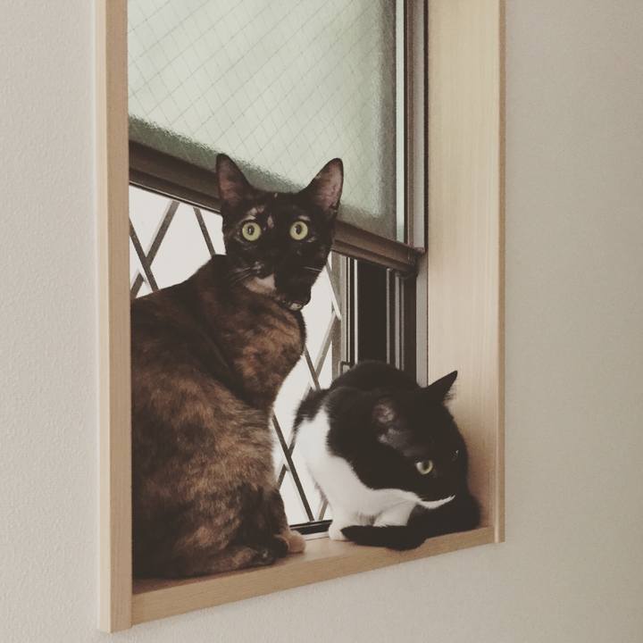 4d3eb2b5 41ee 436f 85e7 f3ce5a3ff271