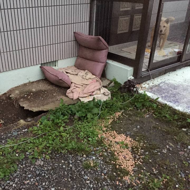 4d3f46c9 fef2 4cfd 86f1 bf031ef45a49