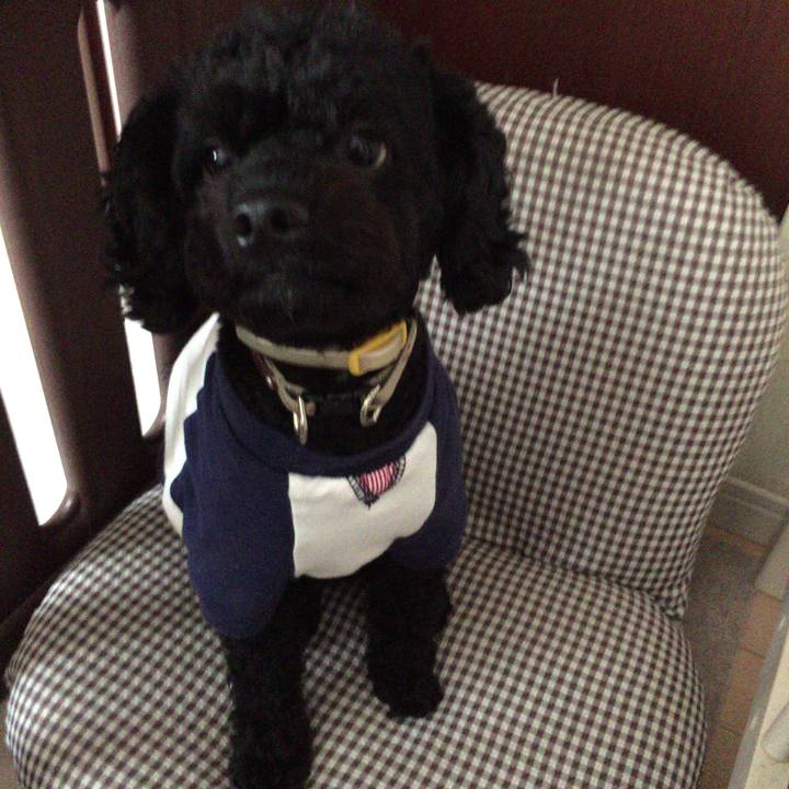 4d3f8046 e64e 4da2 b1b8 497f310a31c4