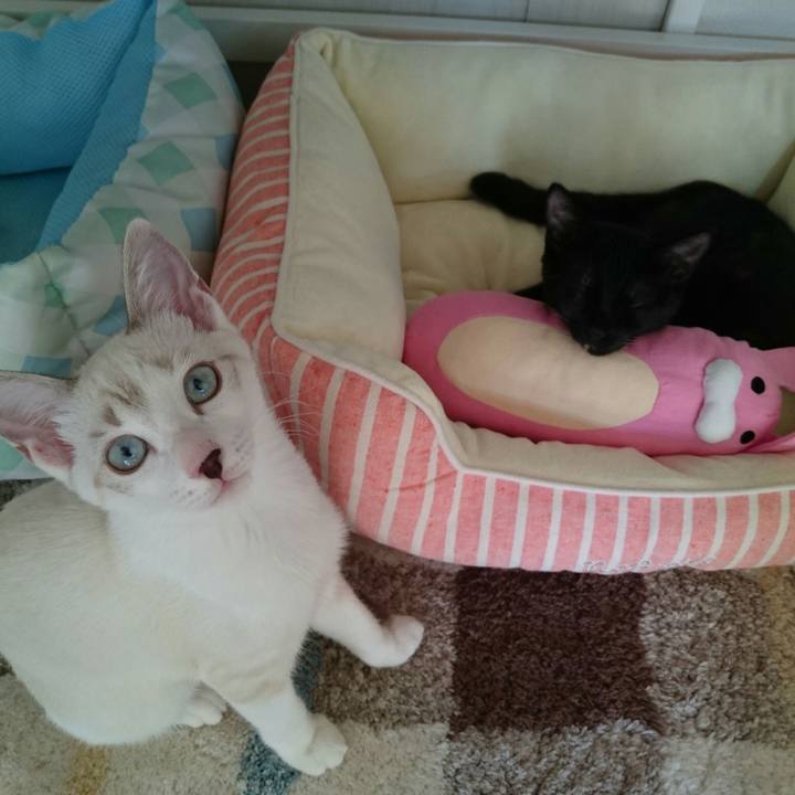 4d4099e7 4ac7 429c 8f87 6010c5fa7d86