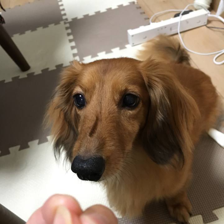 4d40aee6 1c22 42c9 99fe 235a02d466c7