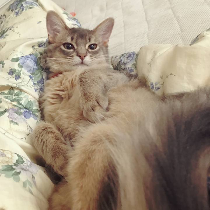 4d40dc87 8205 4d1b b826 5e3e34495ad3