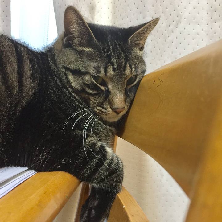 4d423197 005d 474c a00e dd0198f23d50