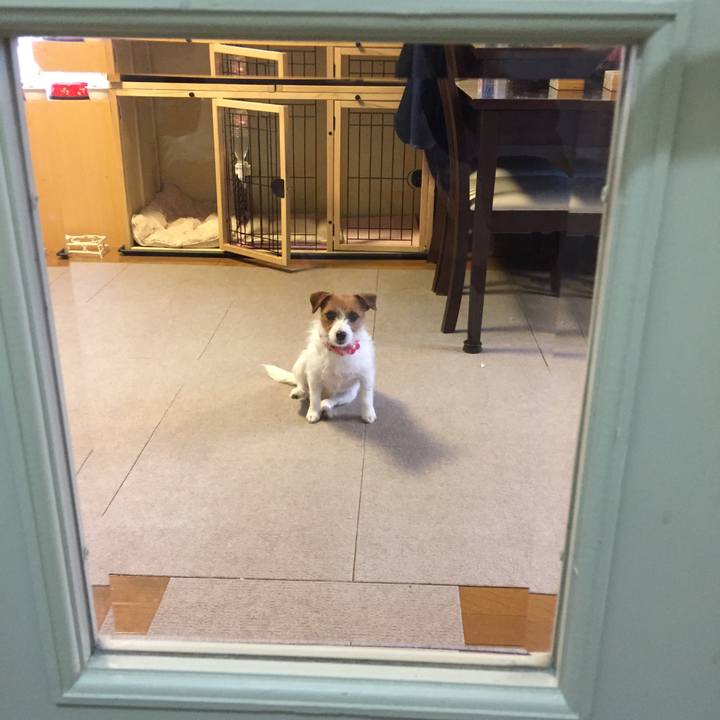 4d424b7b 9bf2 440b af57 f7be6d31b351