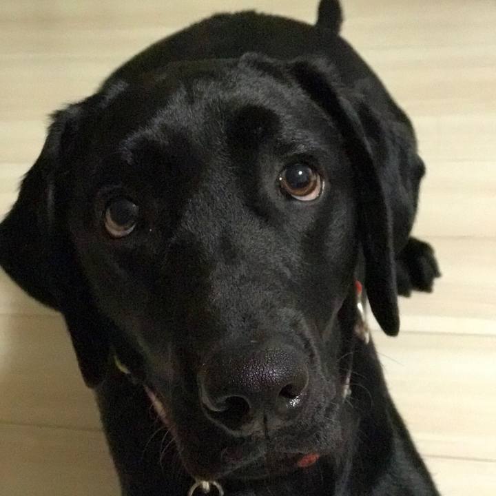 4d42776e a200 4cba 8388 0891c4b706a2