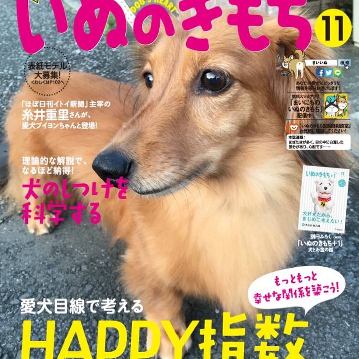 4d432673 700f 4be5 85c5 82a51b84ddcb