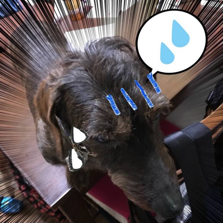 4d43506a 8c7b 4a5b a2b0 bd7fdb4f76f9