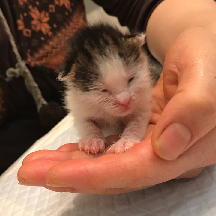 4d436fa9 caf4 46d4 9be4 935b84340bd2