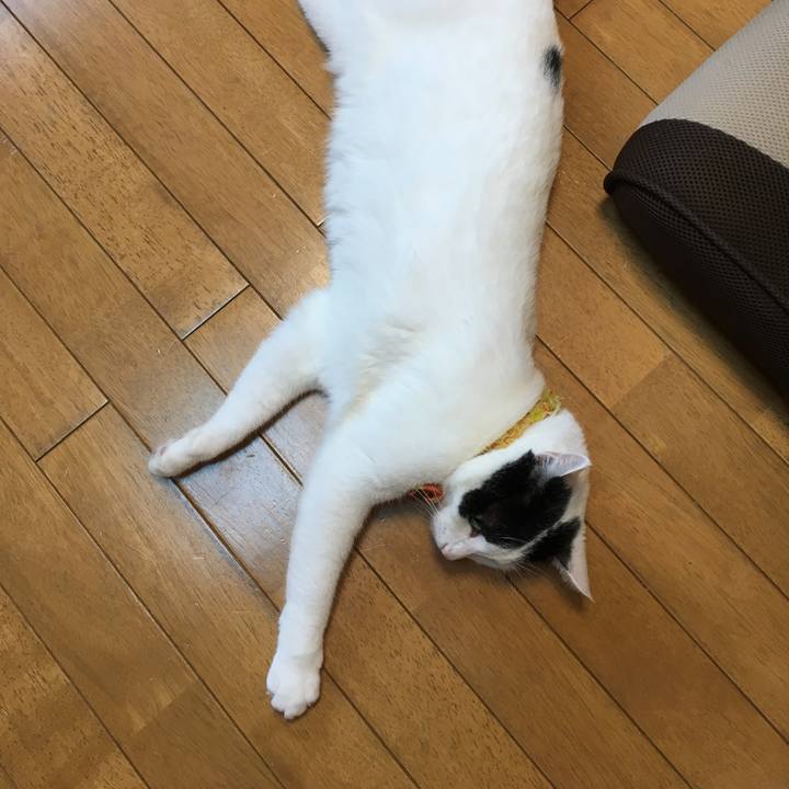 4d43e7b3 2124 4de3 bf93 a21938eb7e43