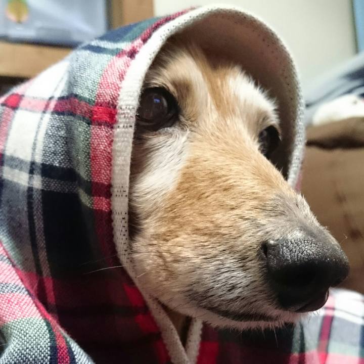 4d442917 fa38 4cef 9bb6 ff87c405d8c3